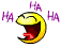 [Image: haha-rire-395.gif]