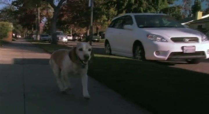 2005 Toyota Matrix [ZZE132]