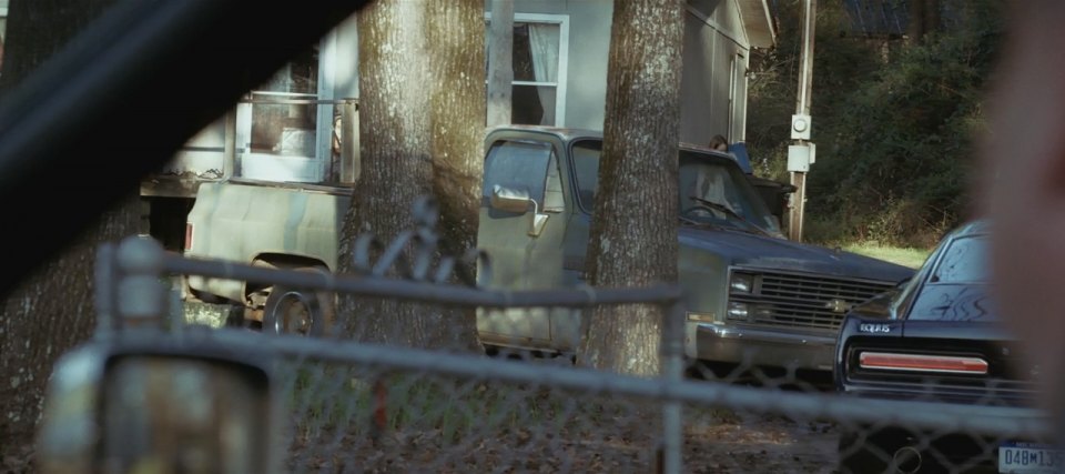 1983 Chevrolet C-10 Fleetside