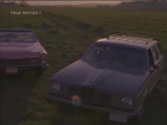 1980 Pontiac Grand LeMans Safari