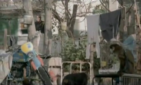 Bultaco Frontera 250 Mk II