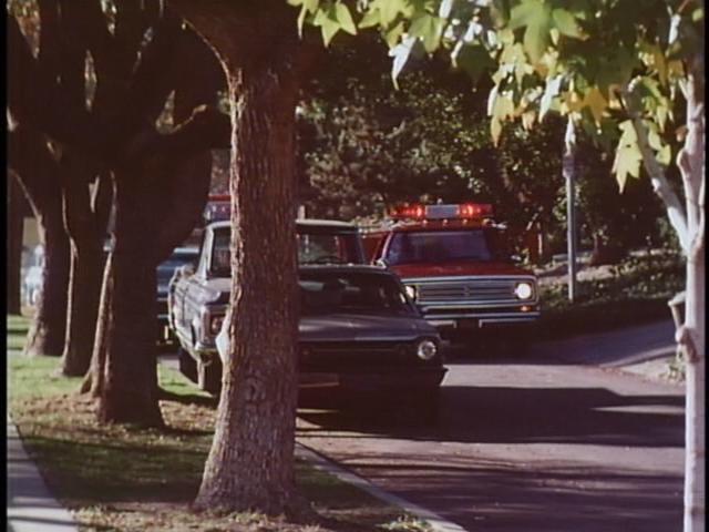 1973 AMC Hornet