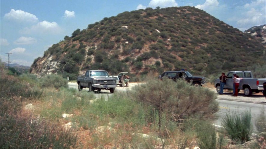 1977 Chevrolet C-20