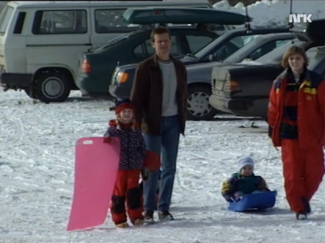 Volkswagen Caravelle T3 [Typ 2]