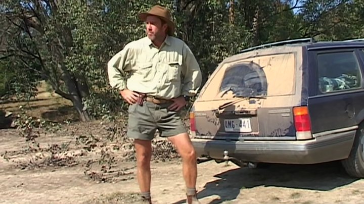 1986 Holden Commodore Wagon [VL]