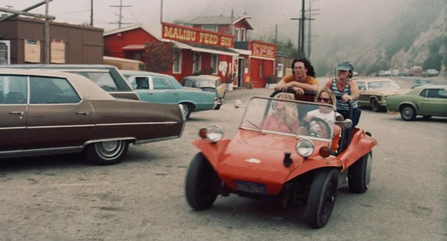 Custom Made Dune Buggy