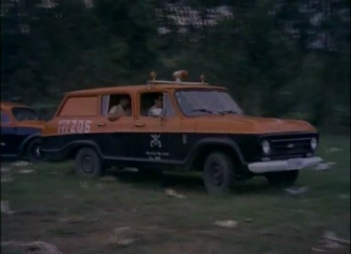 1971 Chevrolet Veraneio [C-1416]