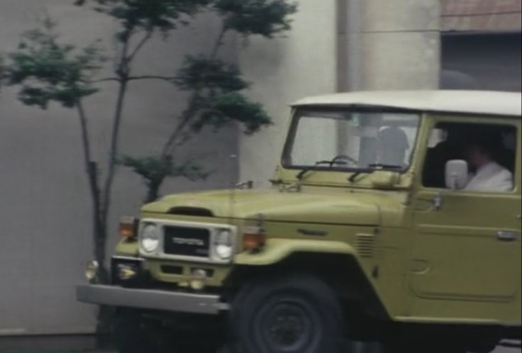 1979 Toyota Land Cruiser Diesel [BJ41V]