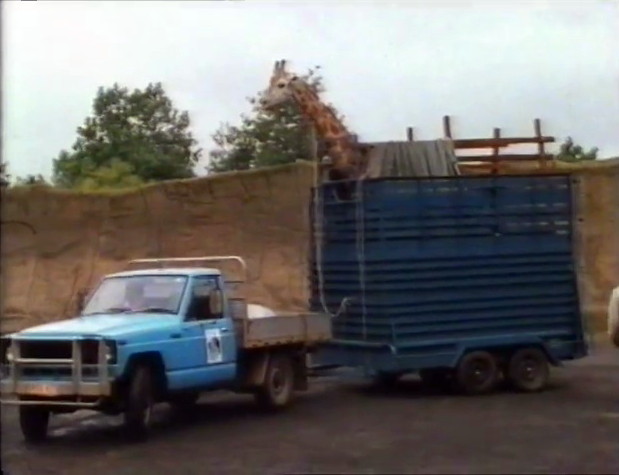 1980 Datsun Patrol [160]