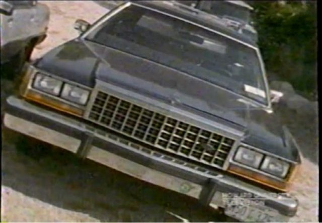 1983 Ford LTD Crown Victoria Wagon