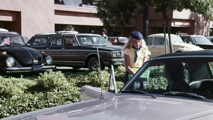 1980 Chevrolet Caprice Estate