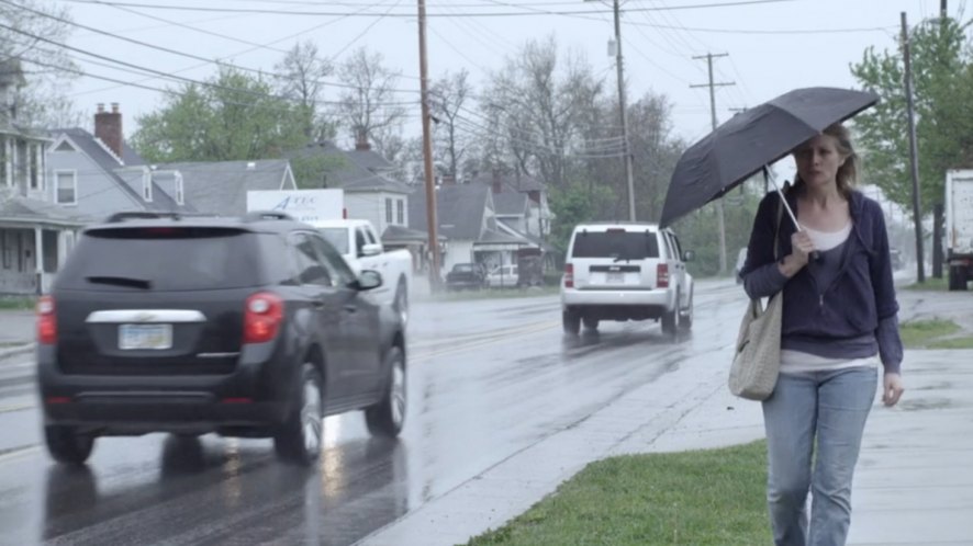 2010 Chevrolet Equinox [GMT172]