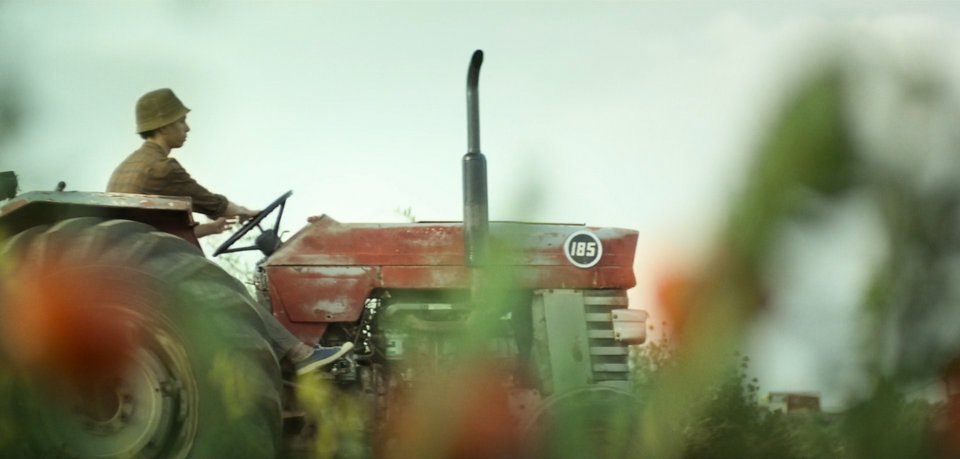 Massey Ferguson 185