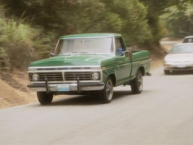 1973 Ford F-100