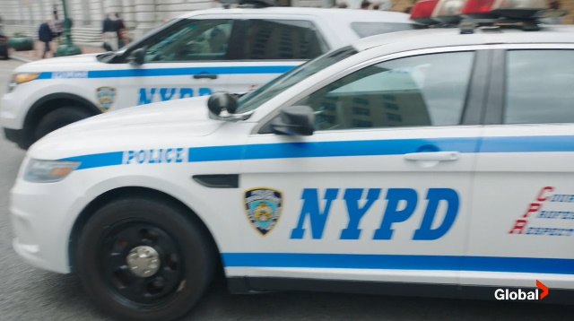 2013 Ford Police Interceptor