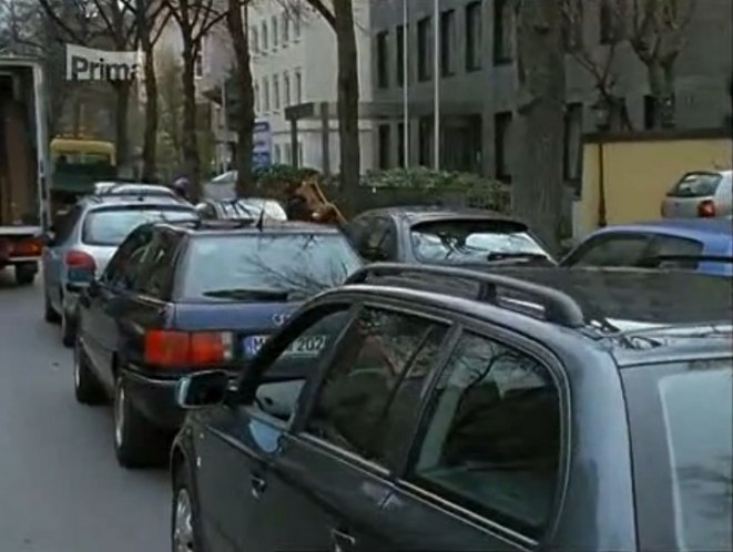 1993 Audi 80 Avant B4 [Typ 8C]