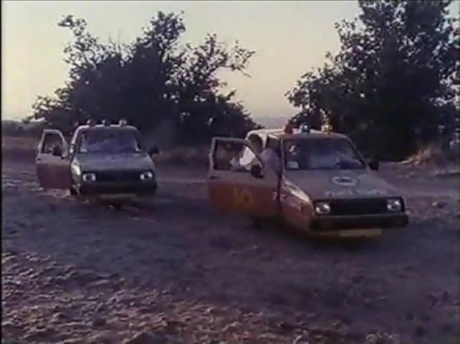 1982 Reliant Rialto