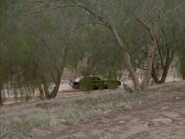 1982 Pontiac Firebird Trans Am