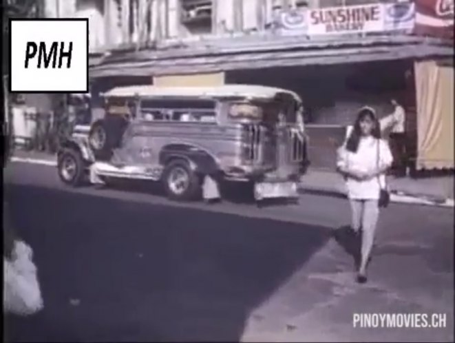 Custom Made 'Jeepney'