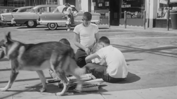 1956 Nash Metropolitan 1500 Hardtop [562]