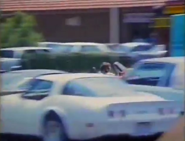 1979 Chevrolet Corvette C3