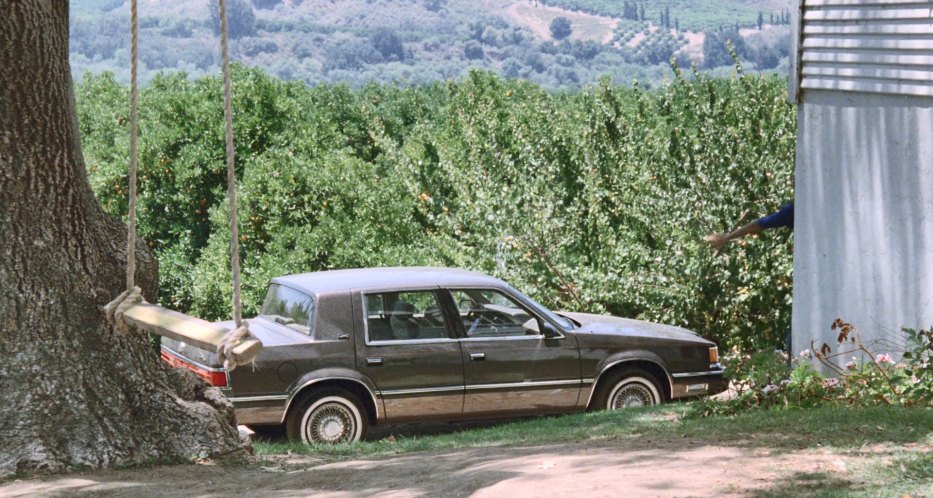 1988 Dodge Dynasty [AC]