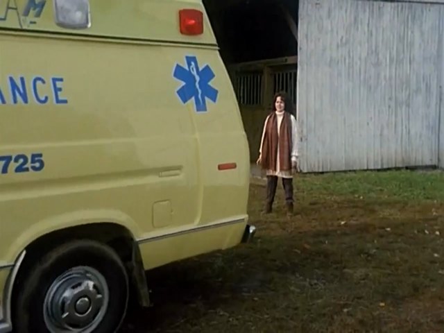 1982 Ford Econoline Super Van [E-350]