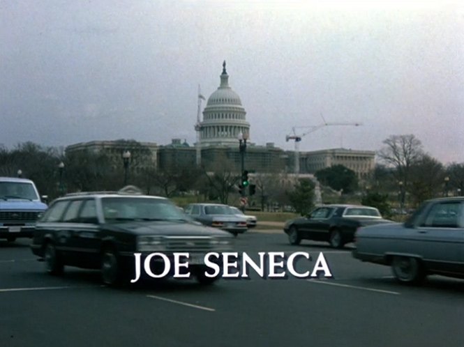 1984 Chevrolet Celebrity Wagon