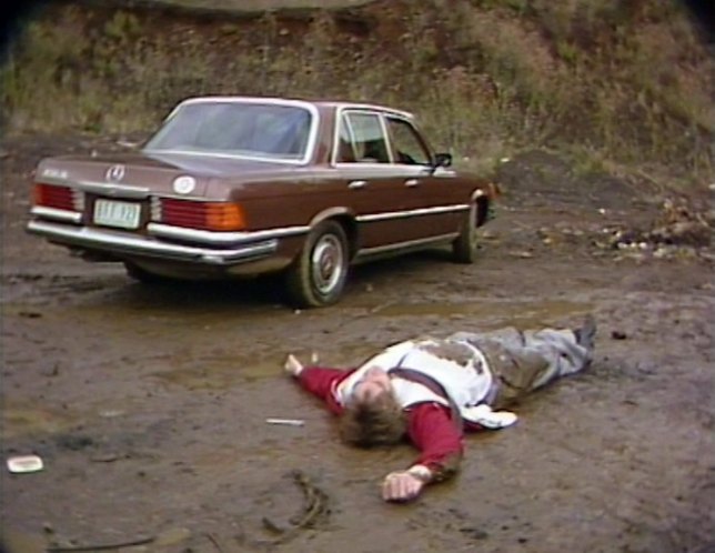 1977 Mercedes-Benz 450 SE [W116]