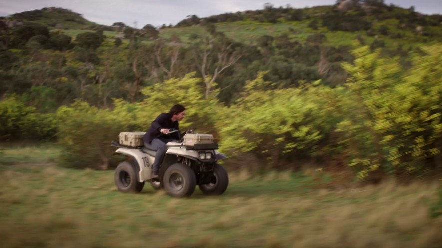 Yamaha Timberwolf
