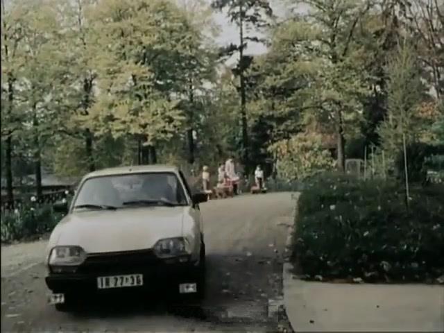 1982 Citroën GSA Pallas