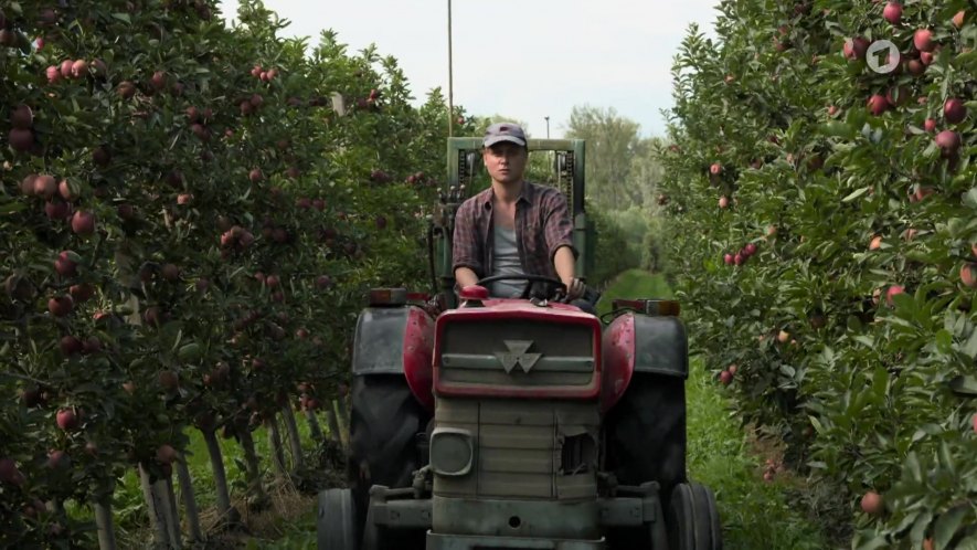 Massey Ferguson 135