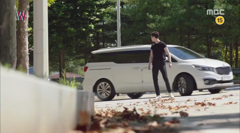2014 Kia Carnival [YP]