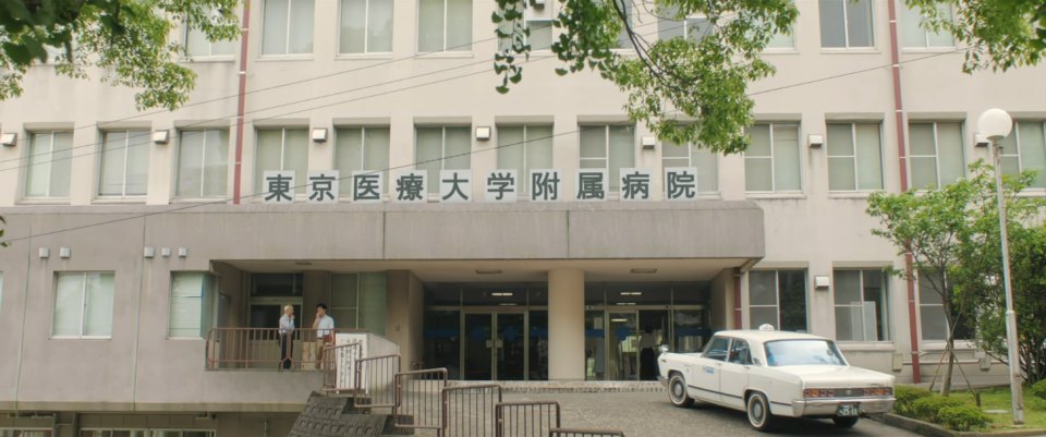 1973 Mitsubishi Debonair [A31]