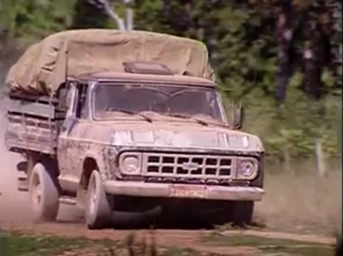 1979 Chevrolet C-10