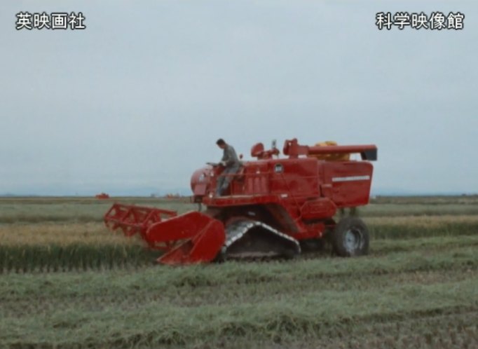 Massey Ferguson 500