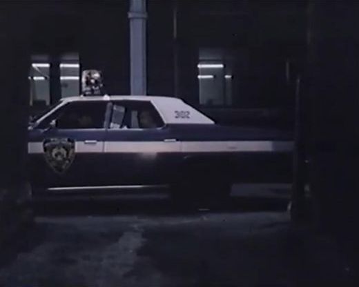 1975 Ford Custom 500