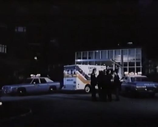 1976 Plymouth Gran Fury