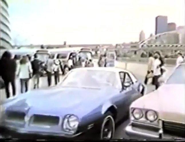 1973 Buick Electra 225