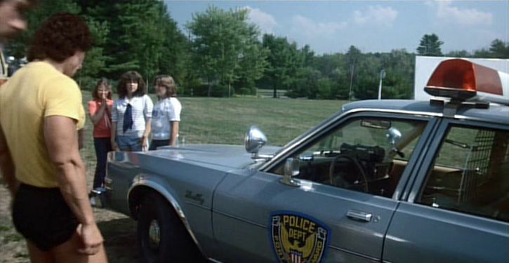 1982 Plymouth Gran Fury