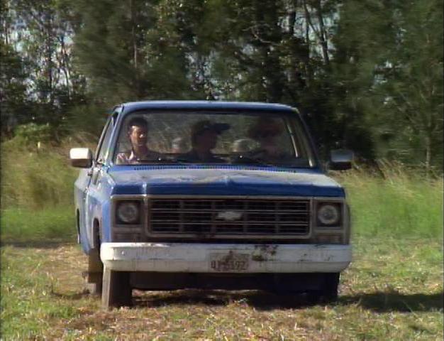 1979 Chevrolet C-10 Custom Deluxe