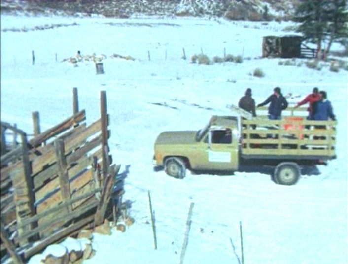 1973 Chevrolet C-20 Custom Deluxe