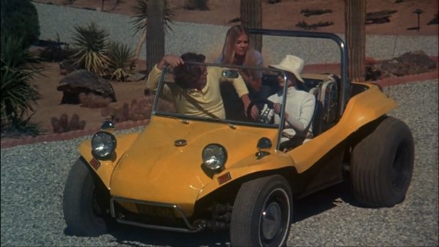 Meyers Manx