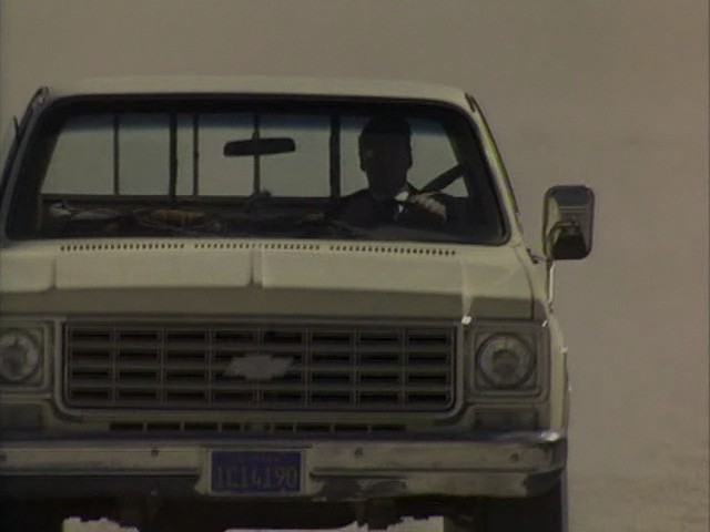 1976 Chevrolet C-10 Fleetside