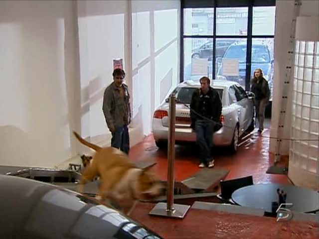 2005 Audi A4 B7 [Typ 8E]