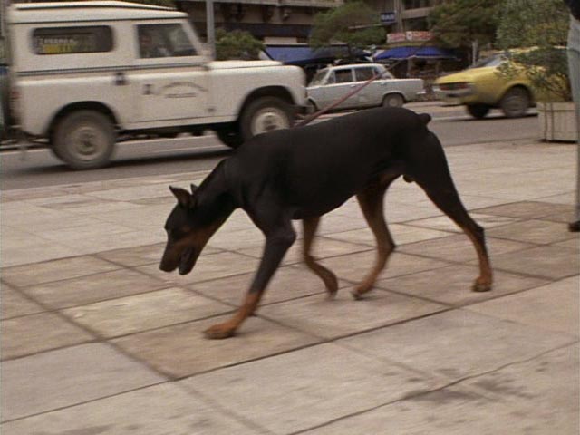 1970 Land-Rover 88'' Series IIa