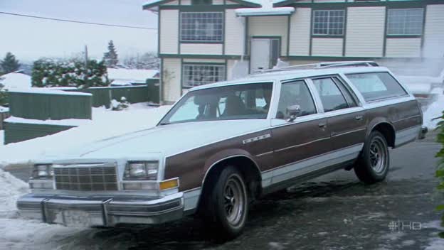 1979 Buick Estate Wagon Limited [4BR35]