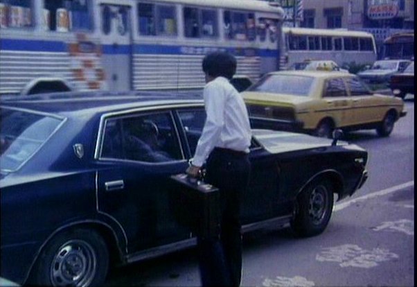 Yue Loong Sunny [YLN-303]