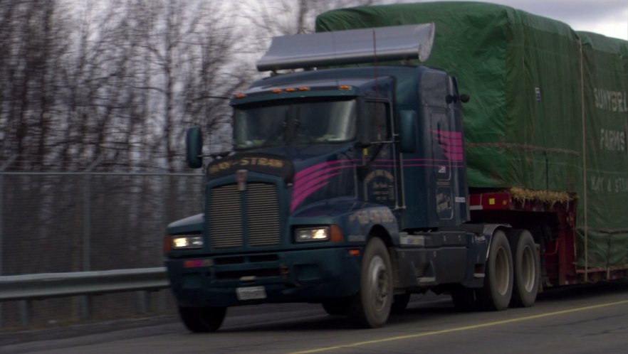 Kenworth T-600 B