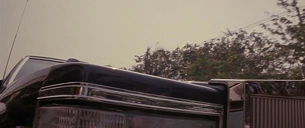 1980 Cadillac Fleetwood Limousine